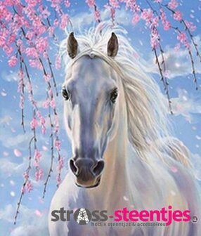 Wit paard onder een bloesemboom 17x20 cm
