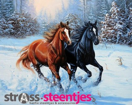 Diamond Painting pakket - Zwart en bruin paard galopperend in de sneeuw 25x20 cm