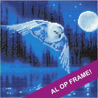 Full Diamond Painting op Frame - Uil bij volle maan 30x30 cm