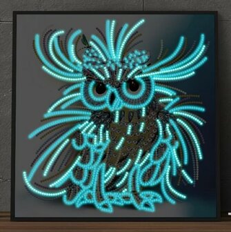 Diamond Painting pakket - Extravagante Uil  - Glow in the Dark 30x30 cm (Partial) in het donker