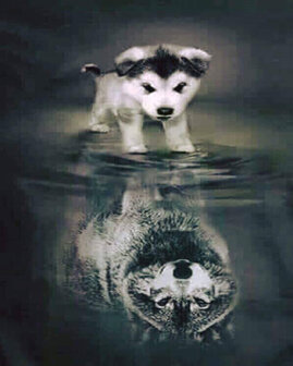 Hondje ziet zichzelf als wolf in het water 40x50 cm