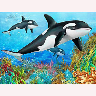 Diamond Painting pakket -  Tekening van groep orka's boven koraal 60x45 cm (full) zonder logo