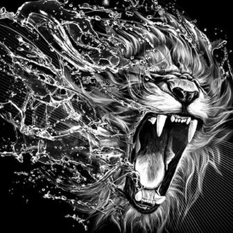 Aanvallende leeuw in zwart-wit 30x30 cm