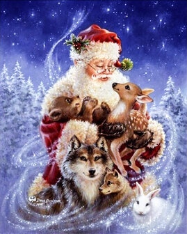 De kerstman met dieren in zijn armen 20x25