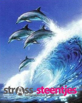 Diamond Painting pakket - Springende dolfijnen boven een hoge golf 20X25