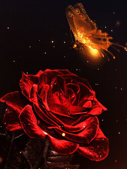 Rode roos met lichtgevende vlinder 30x40 cm