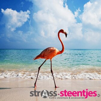 Diamond Painting pakket - Flamingo op het strand 35X35 (full)