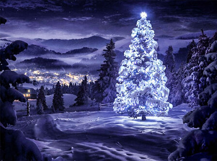 Verlichte kerstboom in de nacht met een dorpje op de achtergrond 40x30 cm