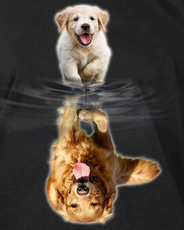 Diamond Painting pakket - Goldenretriever pup ziet zichzelf als volwassen hond 40x50 cm