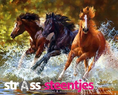 Diamond Painting pakket - 3 paarden galopperend door het water 60X50 cm (full)