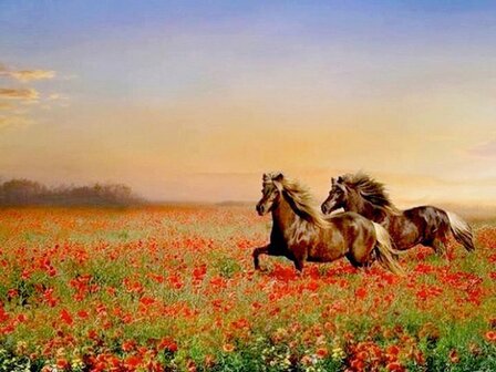 Diamond Painting pakket - Bruine paarden in een papaverveld 60x80 cm