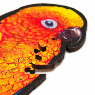Puzzel Playful Parrots / Speelse Papegaaien Medium close up van stukje leggen