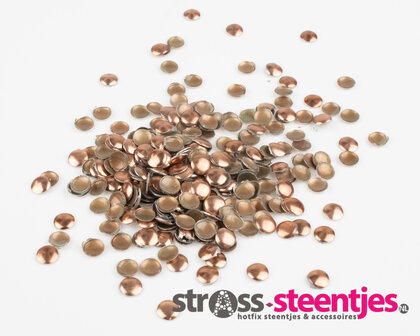 Hotfix Nailheads Kleur Bruin rond 4 mm (ca. 350 stuks) met logo