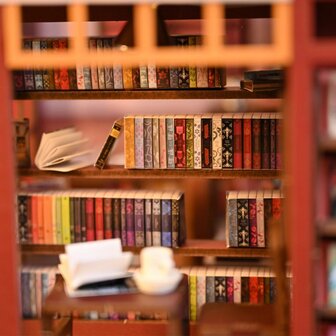 Mini Dollhouse - Shop - Bookstore detail boekenkast