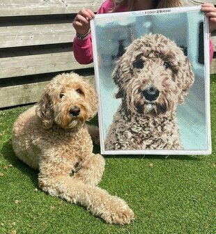 Eigen foto (kies een formaat) - Diamond Painting Pakket