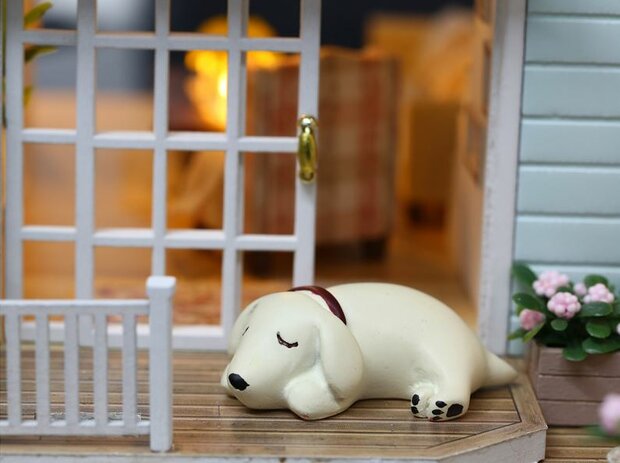 Mini Dollhouse - Villa - New Zealand Queenstown slapend hondje op de veranda