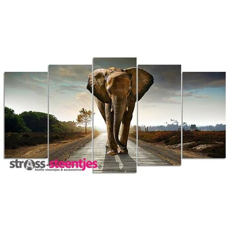 Diamond Painting pakket - Olifant op zandweg 5 luik 2x20x30, 2x20x40, 1x20x50 cm (full)