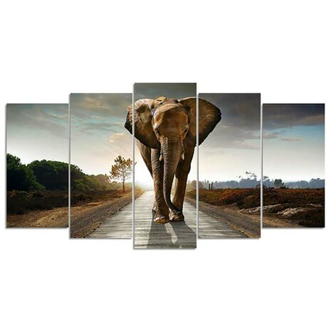 Diamond Painting pakket - Olifant op zandweg