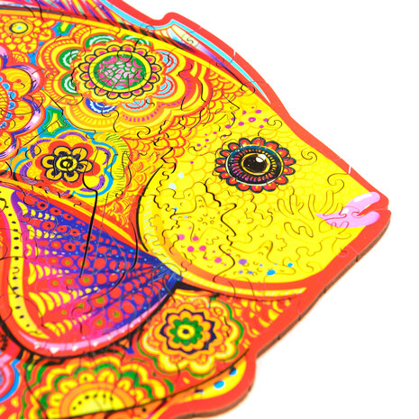 Puzzel Shining Fish / Glanzende Vis Medium close up van de voorkant van de vis