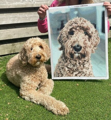 Eigen foto 30x40 cm of 40x30 cm - Diamond Painting pakket