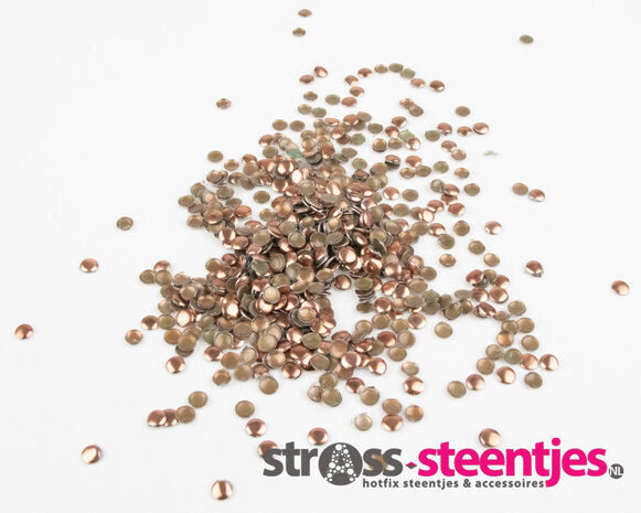 Hotfix Nailheads Kleur Bruin rond 3 mm (ca. 550 stuks) met logo
