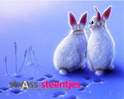 Diamond Painting pakket -  2 witte konijntjes in de sneeuw 45x35 cm (full)