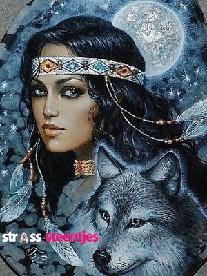 Diamond Painting pakket - Indiaan met wolf 30x40 (full)