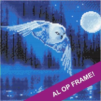 Full Diamond Painting op Frame - Uil bij volle maan 30x30 cm