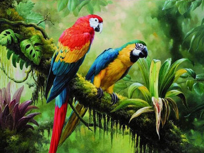 Diamond Painting pakket - 2 Ara's papegaaien in het oerwoud 40x30 cm (full)
